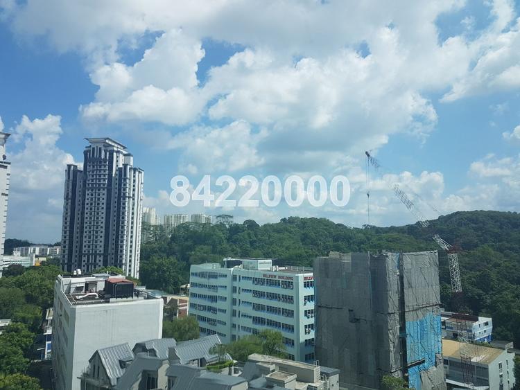 Hillview Regency (D23), Condominium #149669682